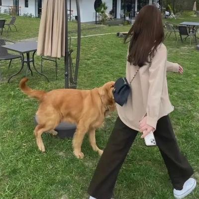 派特森